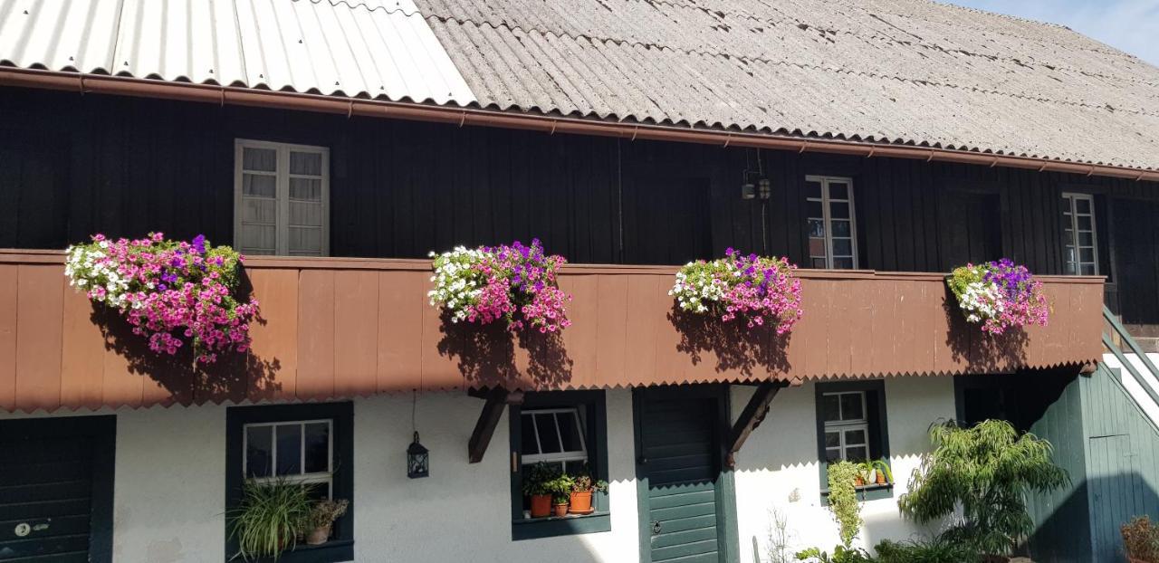 Gasthaus Sternen Post Oberried (Breisgau) Exterior foto