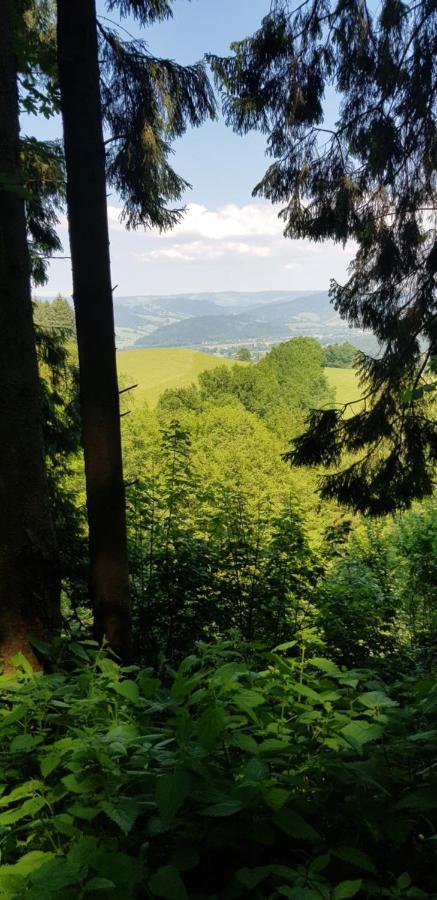 Gasthaus Sternen Post Oberried (Breisgau) Exterior foto